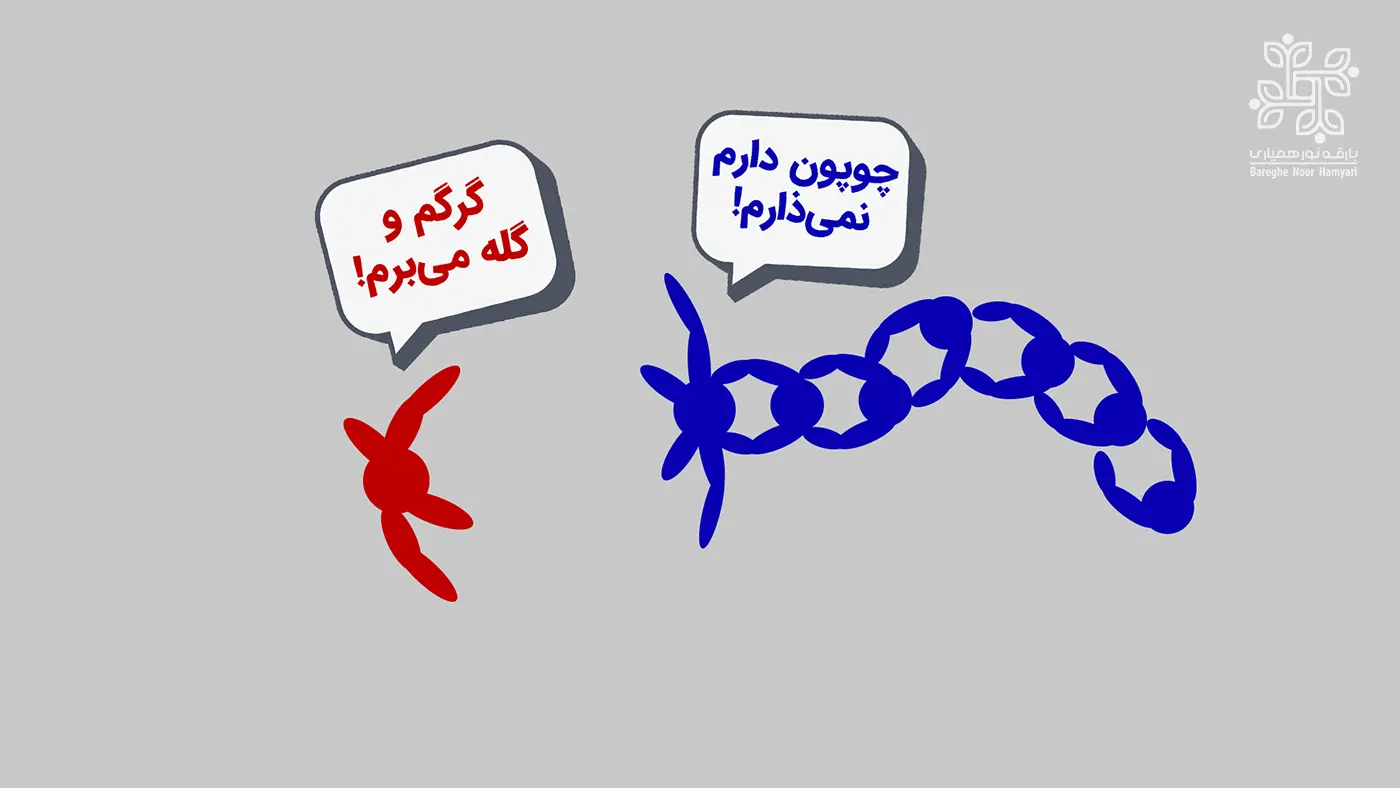 عکس بازی گرگم و گله می برم