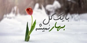 عکس ضرب المثل با یک گل بهار نمی شود