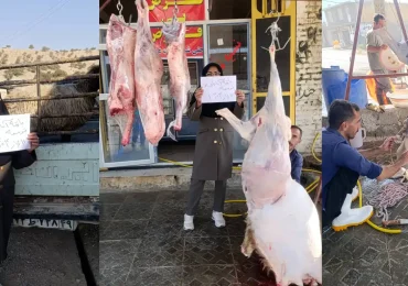 قربانی سرفاریاب