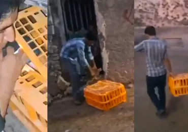 اهدای مرغ تخم گذار در دیشموک